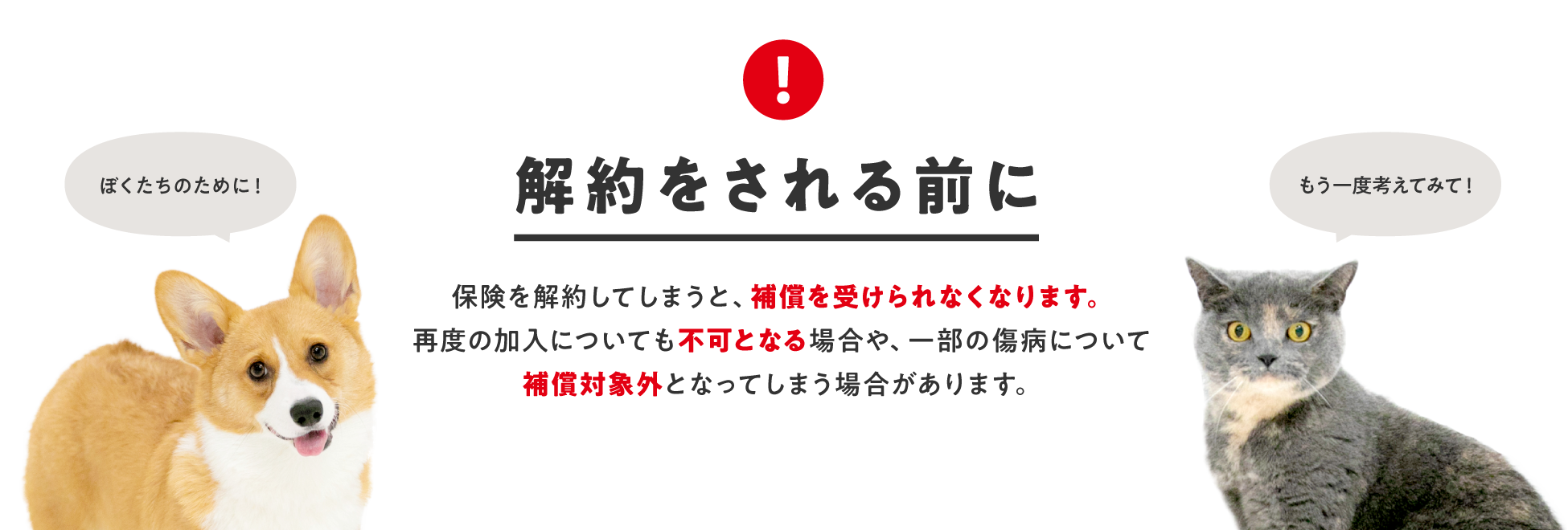 解約をされる前に 保険を解約してしまうと、補償を受けられなくなります。再度の加入についても不可となる場合や、一部の傷病について補償対象外となってしまう場合があります。