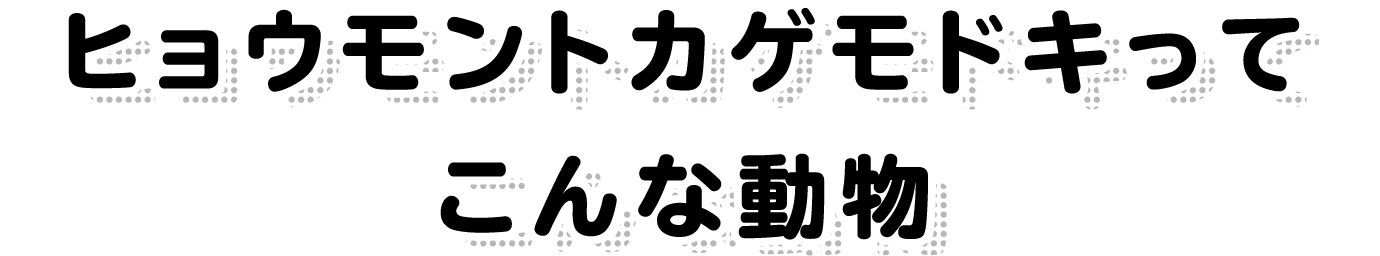 ヒョウモントカゲモドキってこんな動物