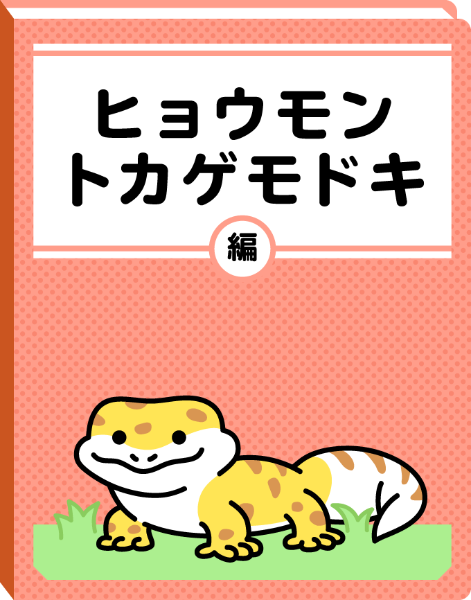 ヒョウモントカゲモドキ編