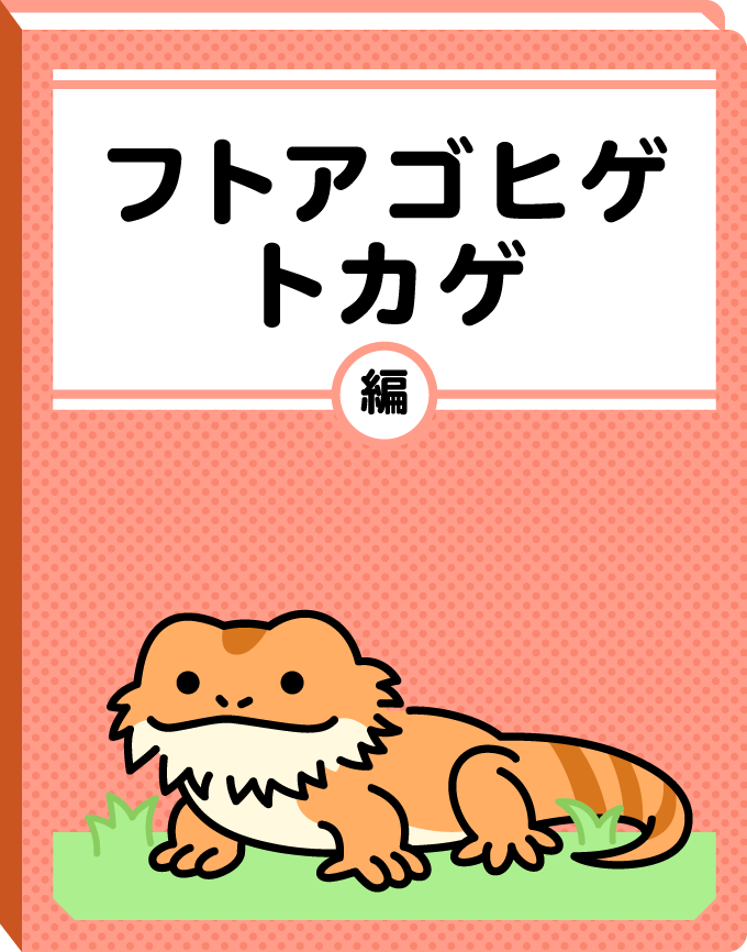 フトアゴヒゲトカゲ編