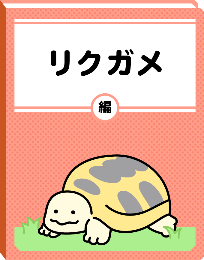 リクガメ編