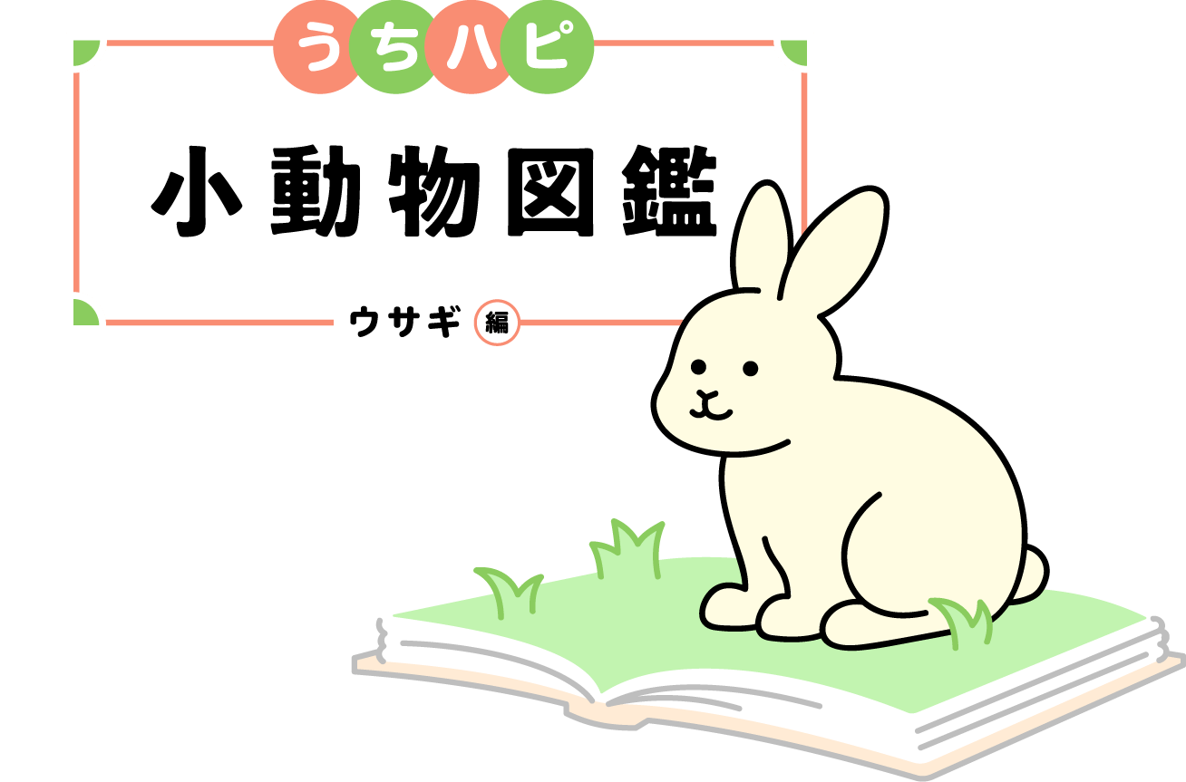 うちハピ小動物（エキゾチックアニマル）図鑑ウサギ編