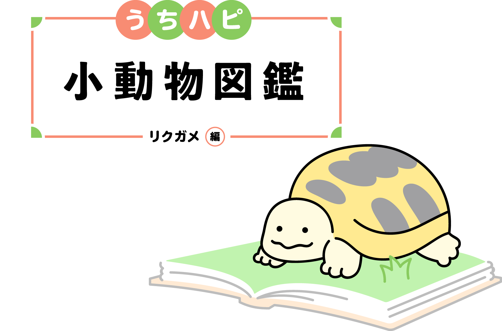 うちハピ小動物（エキゾチックアニマル）図鑑リクガメ編