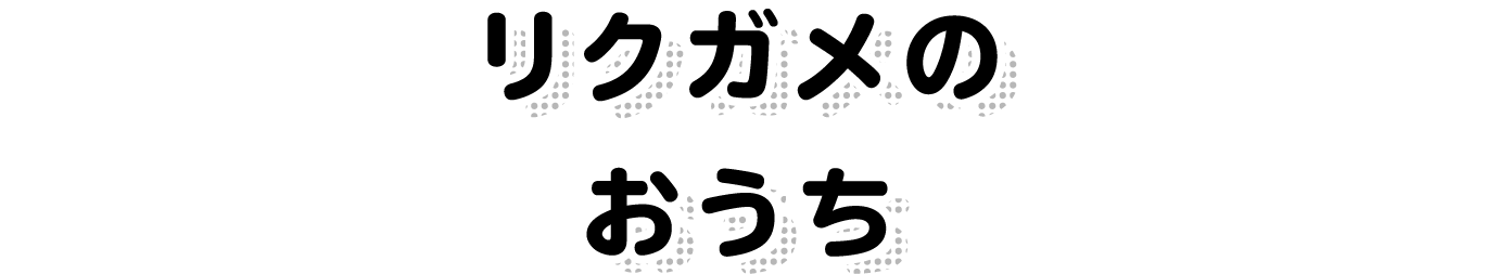 リクガメのおうち