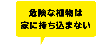 危険な植物は家に持ち込まない