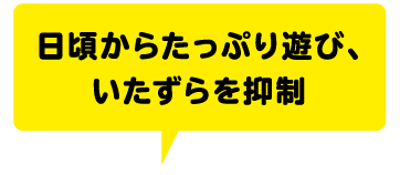 日頃からたっぷり遊び、いたずらを抑制