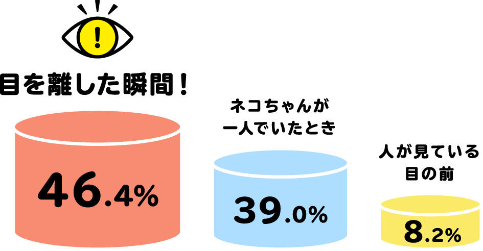 「目を離した瞬間！」が46.4%、「ネコちゃんが一人でいたとき」が39.0%、「人が見ている目の前」が8.2%