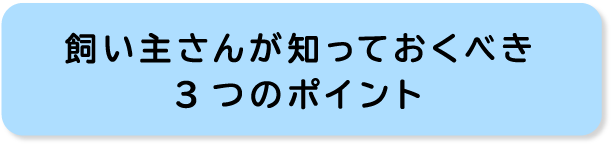 飼い主さんが知っておくべき3つのポイント